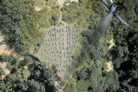 东北军教你打飞机，这样的姿势太销魂......