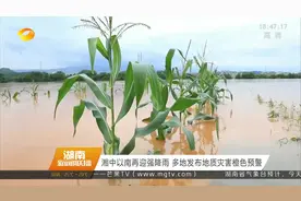 湘中以南再次迎来强降雨！多地发布地质灾害橙色预警视频封面