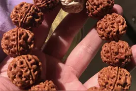 珠宝文玩的传说与故事：金刚菩提的传说视频封面
