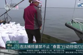 违法捕捞屡禁不止  “春雷”行动持续打击视频封面