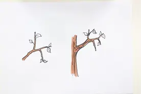 怎么画树枝和树干视频封面