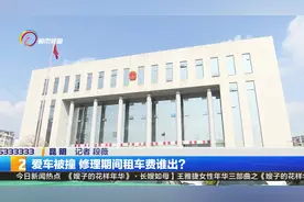爱车被撞 修理期间租车费谁出？视频封面