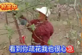 为何掐掉苹果树的腋花？掌握这些技巧，掐花比别人快几倍！视频封面
