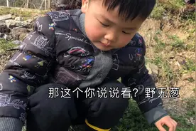 两个年龄4到30岁之前的娘俩被路边牛粪还是猪粪熏的差点吃不下饭视频封面