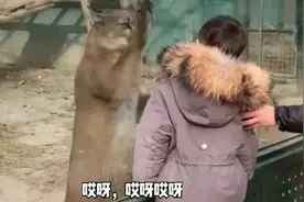 爆笑：室友睡觉时爱放屁，都换了四床被子了，结果还是没用啊