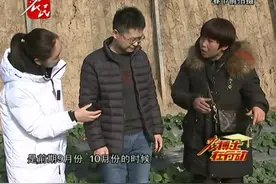 草莓果少咋回事视频封面