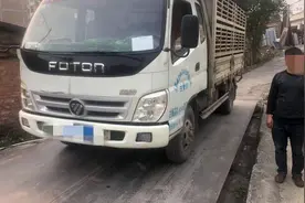 云南货车违法调运犬只被拦下，车内挤满百余只宠物狗，眼神无助！