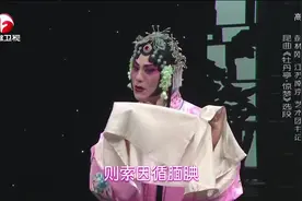 昆曲《牡丹亭》中年大叔行腔婉转表演细腻 出色水磨调惊艳全场！视频封面