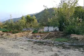 我喂饱你，照顾你，陪伴你，你怎么回报我啊？