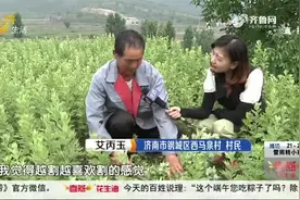 小小艾草成“致富草”，济南村民在荒坡种艾草，一亩地纯收入千元视频封面