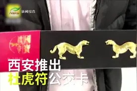“杜虎符” 成了交通卡，西安文创真有新意，谁不想拥有一份？视频封面