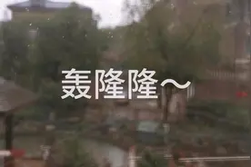 实拍南京午后惊雷滚滚，正月里打雷，婆婆告诉媳妇今年贼会很多？视频封面