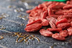 简单实用的枸杞泡酒，真材实料放心喝，健康养生良品，方法在这里视频封面