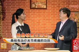 巧用桑枝泡脚治疗关节痛