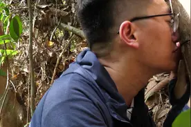 在海南的深山雨林中生长着一种香料，它便是价堪钻石的沉香视频封面