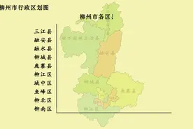 柳州市管辖5区5县，面积人口数产值都不一样，你觉得哪里发展好？视频封面