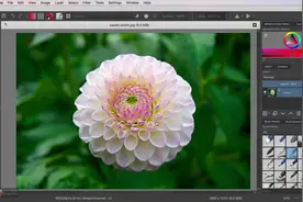 Krita数字绘画和动画快速入门2 (1)
