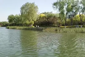 最美春天：绿水波平花烂漫，一起#唤醒好春光#视频封面