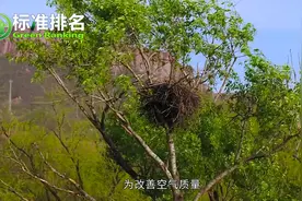 邢台空气质量全国倒数第一视频封面