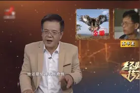 经典传奇：农村现巨大金雕，竟毫不怕人，并向人类发起多次攻击视频封面