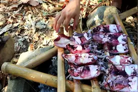 野外生存的女人-好难得和狗狗吃一顿鱿鱼海鲜大餐，不容易