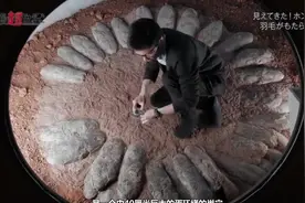 纪录片 恐龙超世界 第1集：真正的恐龙视频封面