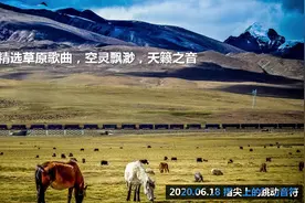 15首精选草原歌曲，空灵飘渺，天籁之音