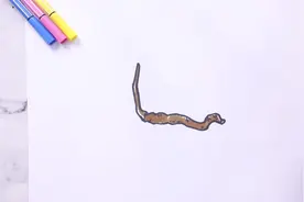 冬虫夏草简笔画视频封面