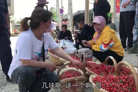 实拍泰安天宝樱桃市场，樱桃遍地都是却很少人买，看看咋卖的视频封面