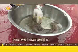 60厘米长的大家伙被水草卡住，经技术人员鉴定，居然还是个宝贝！