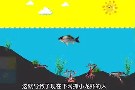 学会垂钓小龙虾技巧，一次性钓个几斤没问题视频封面