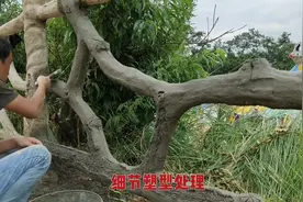 公园景区的水泥仿木栏杆是怎么做的？来咱们现场教学！干货分享！视频封面
