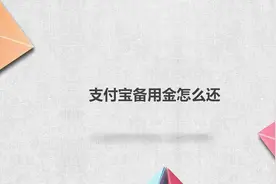 支付宝备用金怎么还