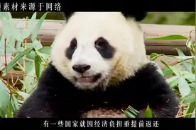 都是邻国，日本从中国租借9只大熊猫，印度为何一只也没借到？视频封面