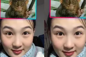 太像了！网络上爆火的测测你是什么动物，简直神还原啊！