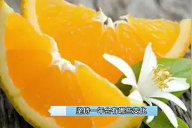 每天吃1个橙子，眼睛明亮了还保护血管，知道的人真不多！视频封面