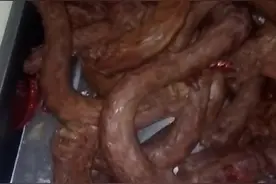 正宗久久鸭脖制作方法视频演示视频封面