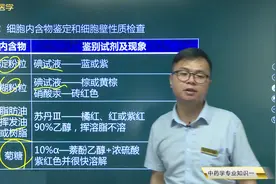 中药学05中药质量标准02细胞内含物鉴定和细胞壁性质检查视频封面
