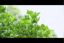 四川省人民医院创作公益科普歌曲《眼睛很忙》，关注普遍眼健康图片