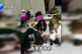 郑州一小区内“金屋藏娇”，“喝茶”竟成拉客暗号，还开起了分店视频封面