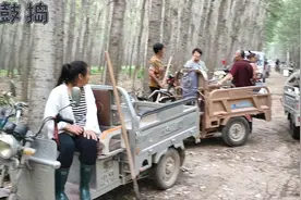 河北四大水库之一王快水库开闸放水，全村人争相跑到河道，有好事视频封面