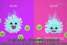 先天免疫系统（非特异性免疫）-了解发炎、发烧、脓是什么原理视频封面
