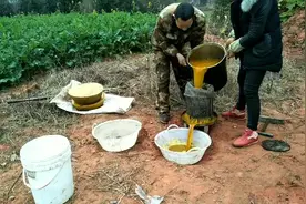 制作出来的诱蜂蜡，老旧巢脾“变废为宝”，2招就让蜂蜡纯度更佳视频封面