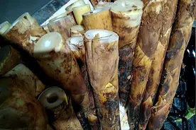 月经期间不要吃7种食物，容易引起痛经，再馋也要忍住视频封面