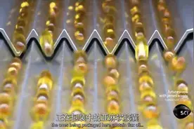 软胶囊的生产过程视频封面