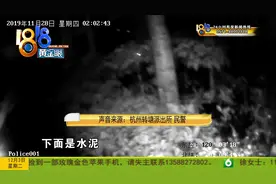 妻子“啊”了一声  丈夫以为跳楼 深夜民警翻个遍 原来妻子在这里