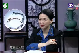 浙江电视台《匠心中国》节目揭秘： 如程盈利模式及背后超级团队视频封面
