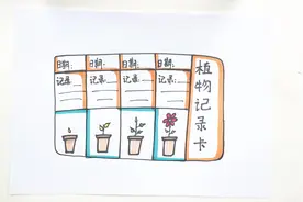 植物的记录卡怎么画视频封面