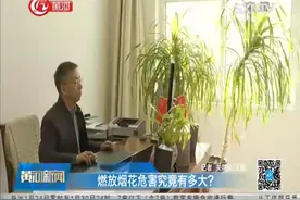 燃放烟花危害究竟有多大？视频封面