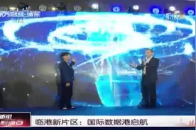 临港新片区：国际数据港启航视频封面